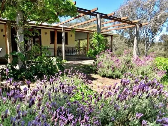 Capertee National Park Cottages - Öne Çıkan Resim