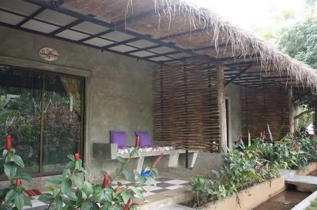 Capital O 464 At Nata Chiangmai Chic Jungle