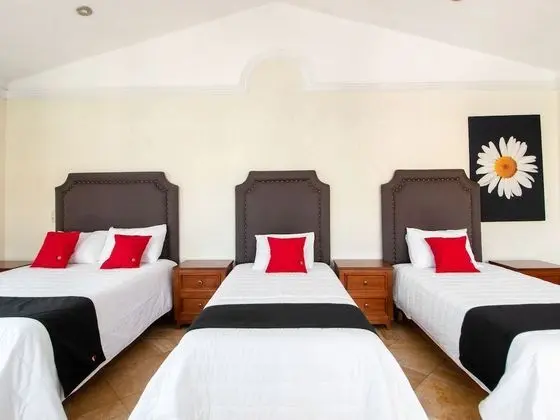 Capital O Hotel San Jose, San Luis - Oda