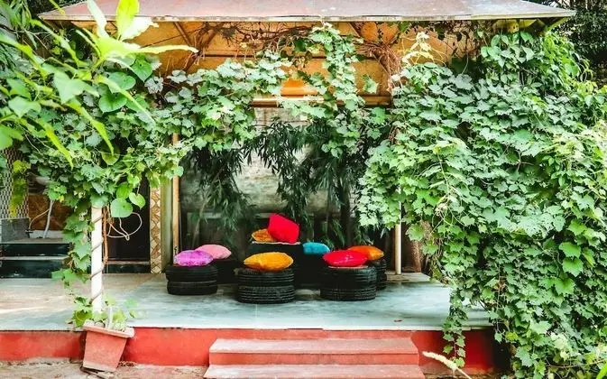 Capsule Den Farmstay - Dış Mekan