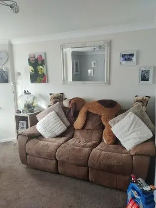 Captivating 1-bed Apartment in Bournemouth - Oda Düzeni