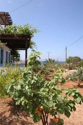 Captivating 1-bed Apartment in Lefkos - Dış Mekan