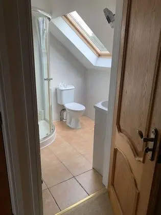 Captivating 4-bed House in West Wales, UK - Banyo Tipleri