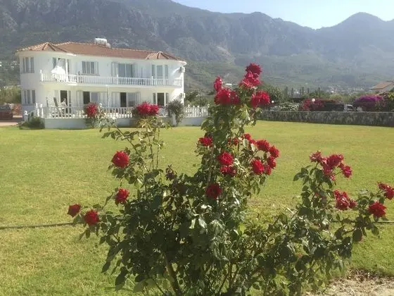 Captivating 5-bed Villa With Private Pool & Garden - Dış Mekan