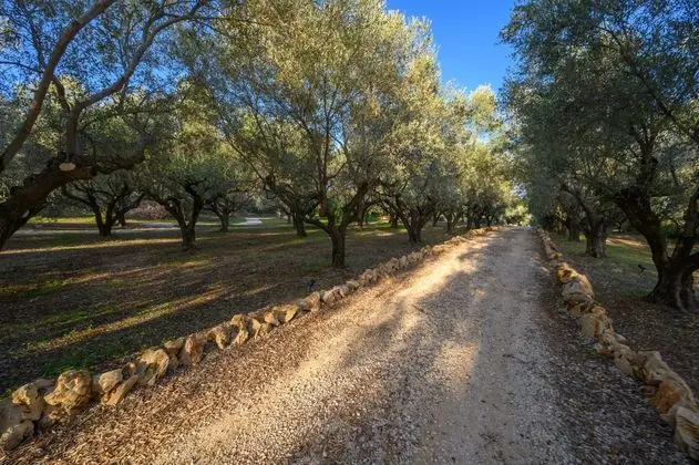 Captivating 5-bedr Villa Close Navarino Dunes Golf - Genel