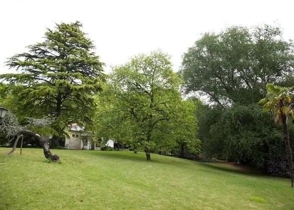 Captivating 6-bed House in Grijó - Dış Mekan