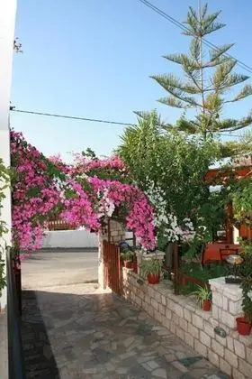 Captivating Bougainvillea Apartment in Panormos - Dış Mekan
