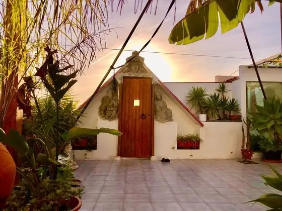 Captivating Studio Apartment in Mexilhoeira Grande - Dış Mekan