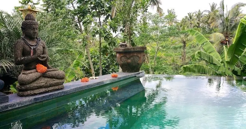 Capung Sakti Villas – By Fair Future Foundation - Havuz