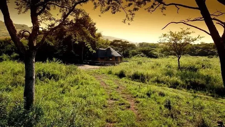 Caracal Lodge - Öne Çıkan Resim
