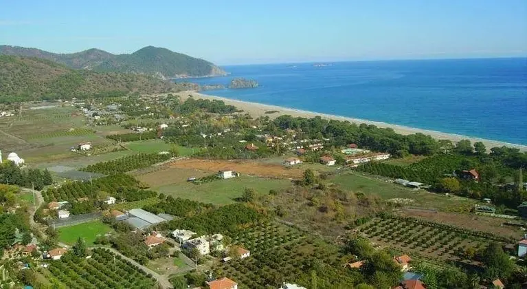 Caretta Caretta Pension