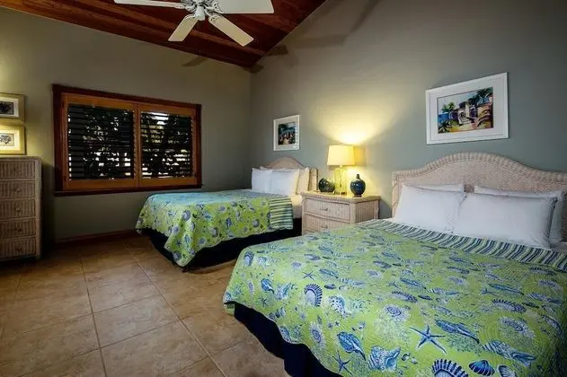 The Caribbean Resort Canary Island Palm South - Oda