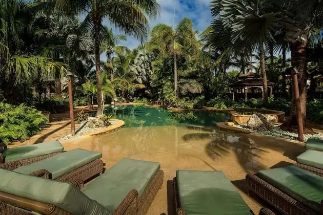 The Caribbean Resort Fish Tail Palm - Havuz