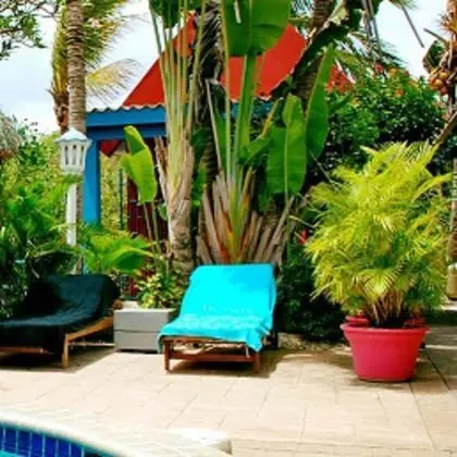 Caribbean Flower Apartments - Dış Mekan
