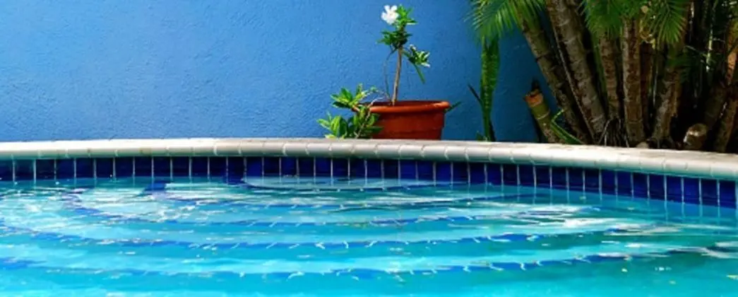 Caribbean Flower Apartments - Havuz