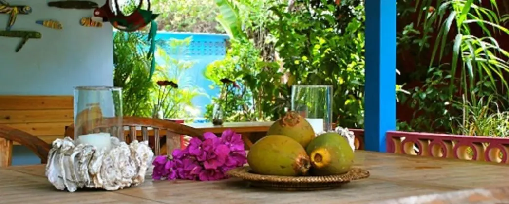 Caribbean Flower Apartments - Öne Çıkan Resim
