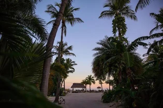 The Caribbean Resort Malayan Palm East - Dış Mekan