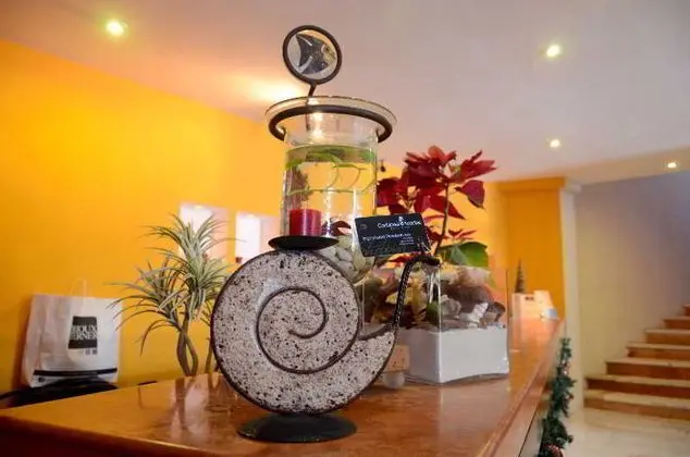 Caribbean Paradise Boutique by GuruHotel - Lobi