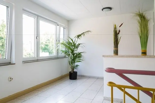 Carli's Bed-No-Breakfast - İç Mekan