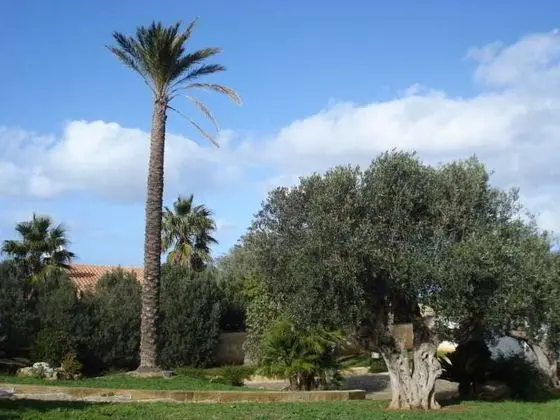 Villa Carlo Resort
