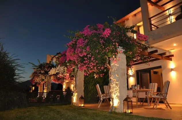 Villa Carlos - Dış Mekan