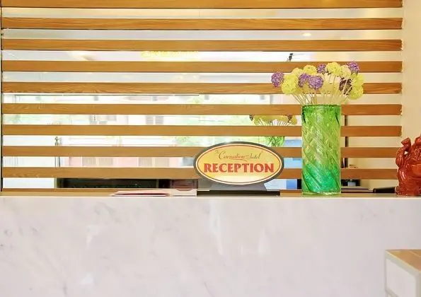 The Carnation Hotel Da Nang - Lobi
