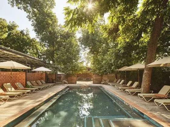 The Carpenter Hotel - Havuz