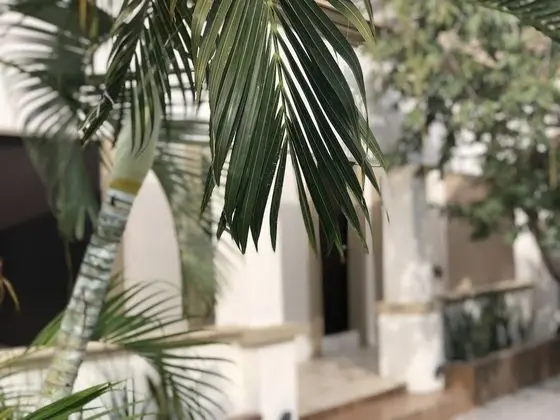 Hotel Casa 511