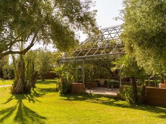 Casa Abracadabra - Dış Mekan