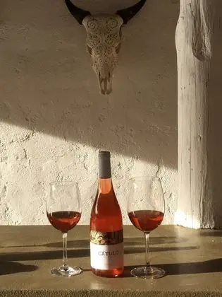 Casa Baliza - Havuz