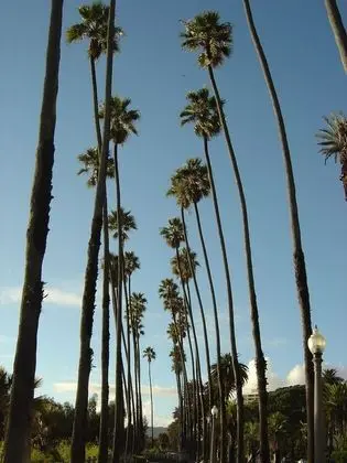 Casa Blanca Lux Beach House Santa Monica - Dış Mekan