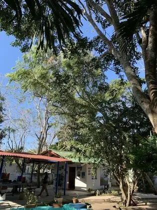 Casa Campomar - Dış Mekan