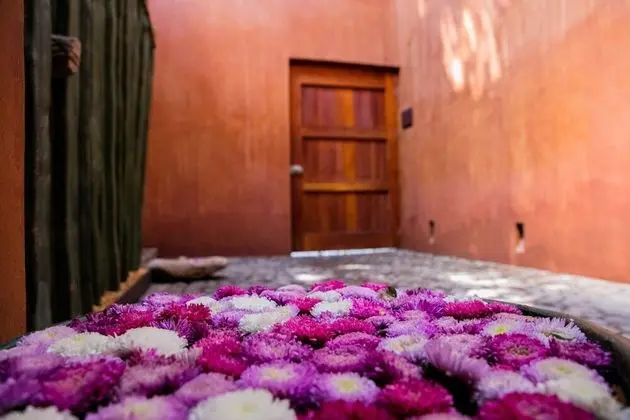 Casa Carmen Reforma