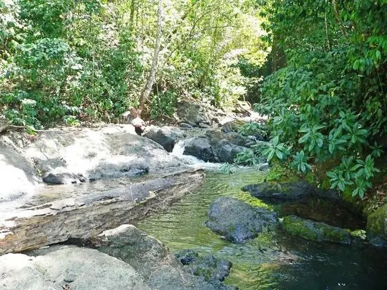 Casa Corcovado Jungle Lodge - Dış Mekan