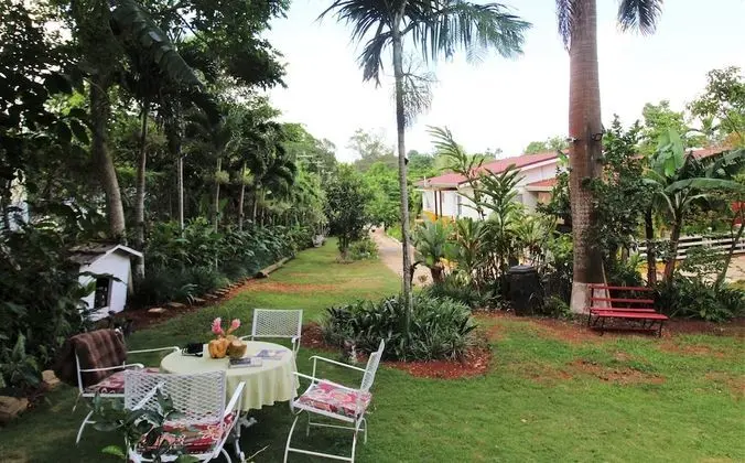 Casa da Buena Vista
