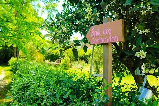 Casa das Palmeiras - Pedagogic Farm - Dış Mekan