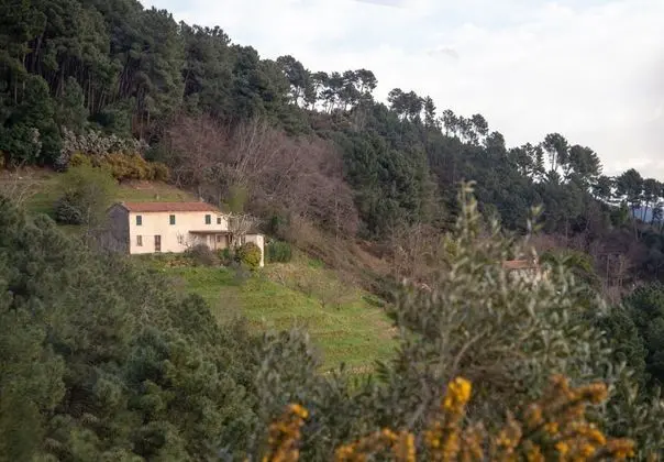 Casa Davide With Pool