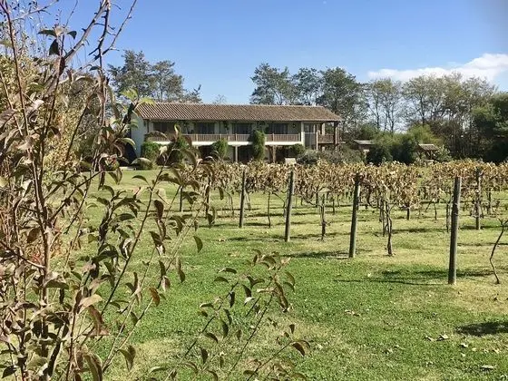 Hotel Casa de Campo - Dış Mekan