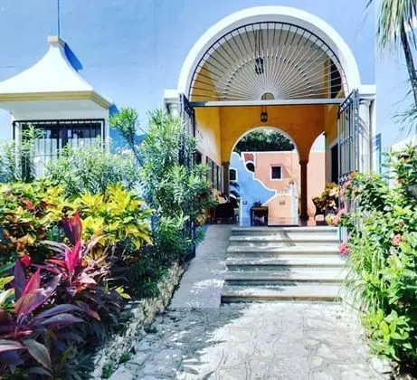Hotel Casa De Las Flores - Dış Mekan