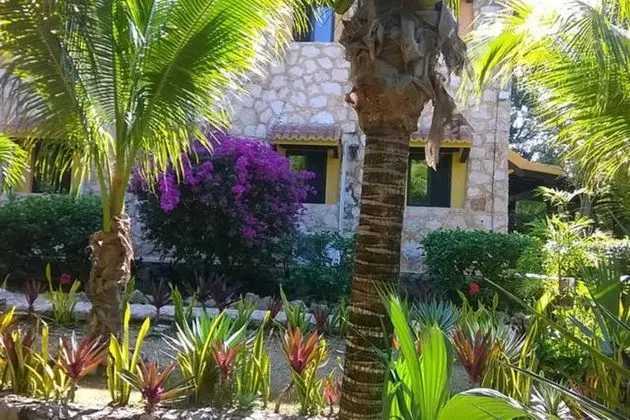 Casa de Las Tortugas I Tour Akumal