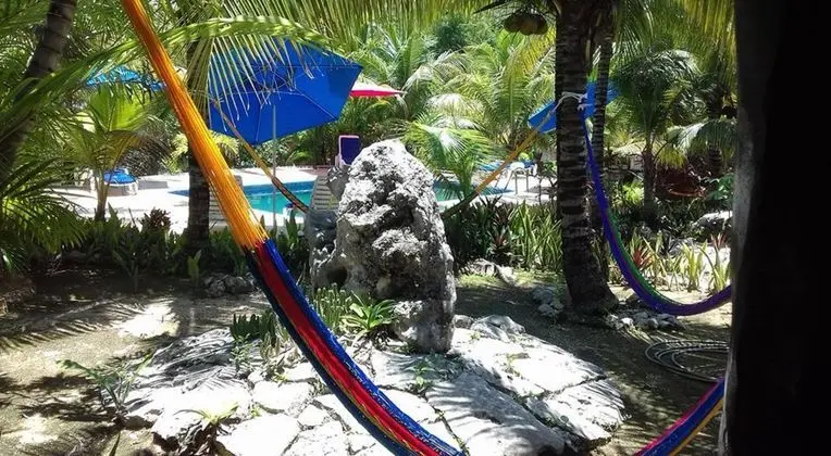 Casa de Las Tortugas I Tour Akumal