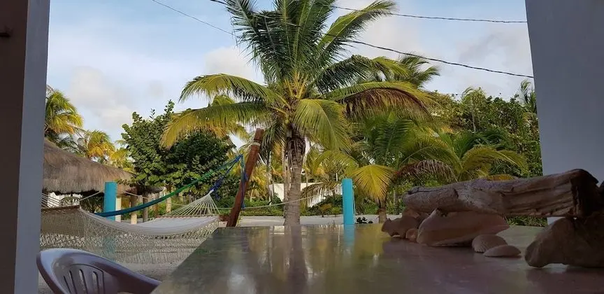 Casa de los peces - 1