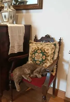 Casa de São Domingos - Dış Mekan