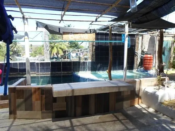 Casa del Jaibo - Havuz