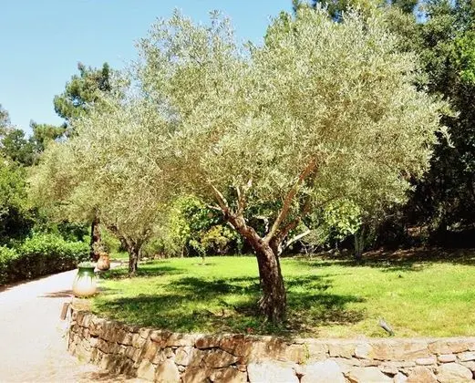 Casa Del Sole Chambre d'hôtes de Charme - Dış Mekan