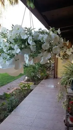 Casa di Campagna Dal Pozzo - Dış Mekan