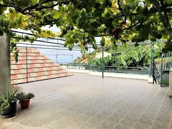 Casa do Figueirinha - Dış Mekan