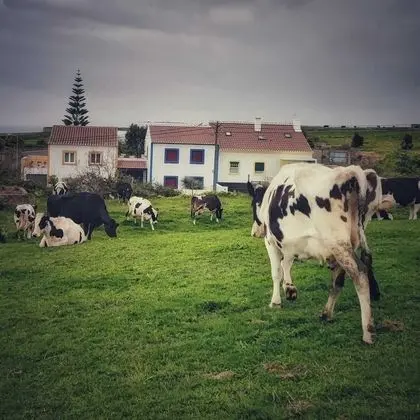 Casa do Pequeno Dragoeiro - Dış Mekan
