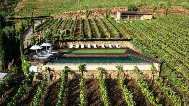 Casa do Rio Wine Hotel - Vallado - Öne Çıkan Resim