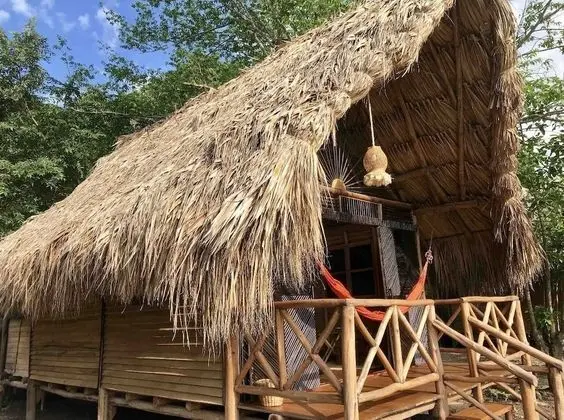 Casa Gaia Palomino - 1